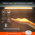 Smart Motion Sensor Ceiling Light