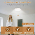 Smart Motion Sensor Ceiling Light