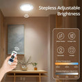 Smart Motion Sensor Ceiling Light