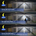Solar LED Motion Sensor Flood Light (IP65)