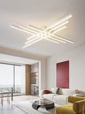 Modern LED Ceiling Light