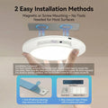 Wireless Motion Sensor Ceiling Light