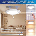 Wireless Motion Sensor Ceiling Light
