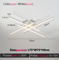Modern LED Ceiling Light