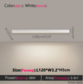 Modern Nordic Ceiling Light