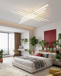 Modern LED Ceiling Light