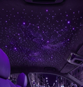 RGBW Fiber Optic Star Ceiling Light Kit for Car (3M)