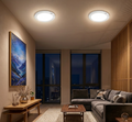 Smart Motion Sensor Ceiling Light