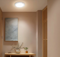 Smart Motion Sensor Ceiling Light
