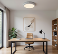 Wireless Motion Sensor Ceiling Light
